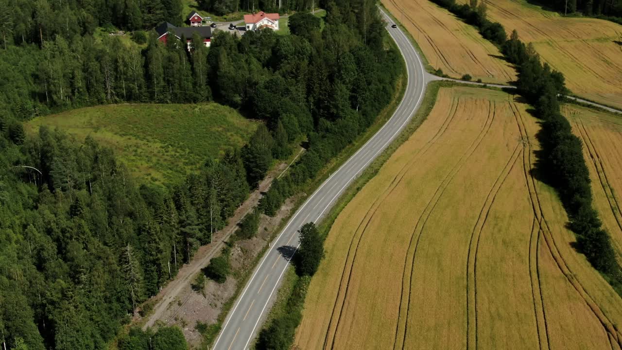 vista orbital aérea de una carretera con coches de conducción, campos de división y el bosque de pinos en el lado del país en un día soleado