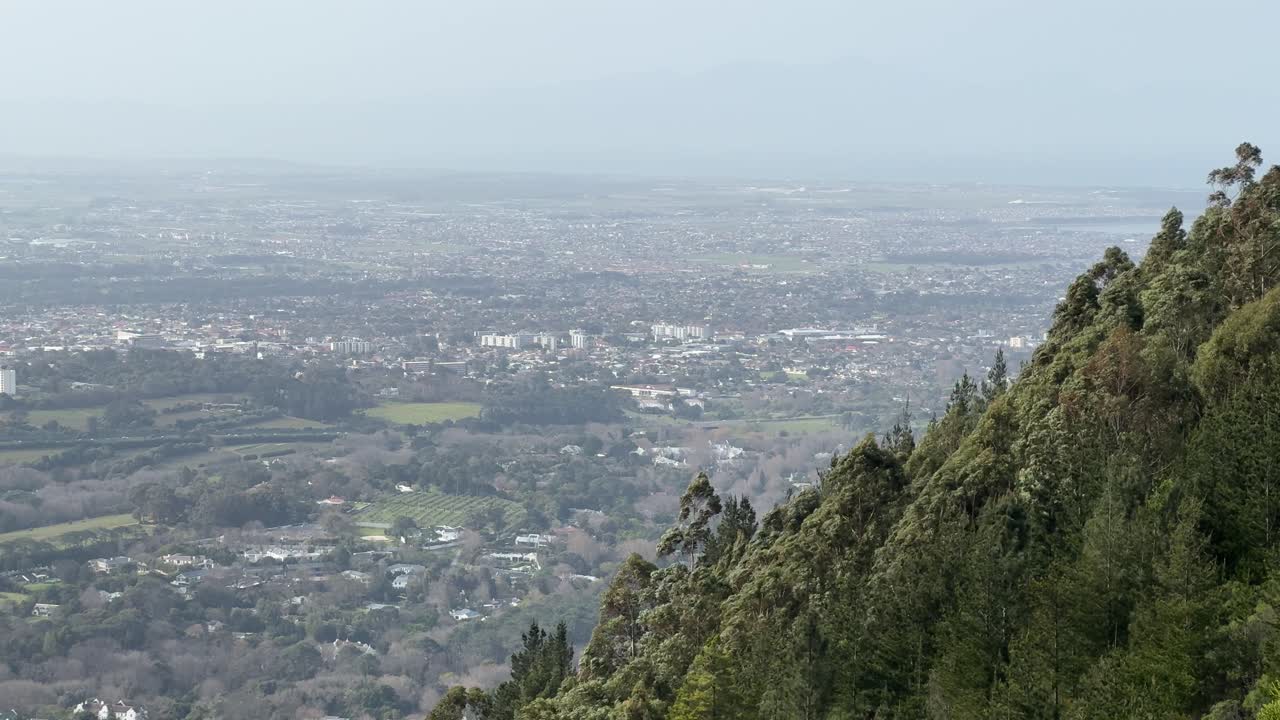 Views from Cecilia Forest in Constantia, Cape Town