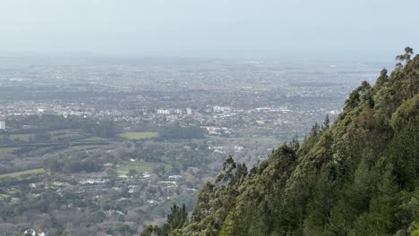 views from cecilia forest in constantia, cape town