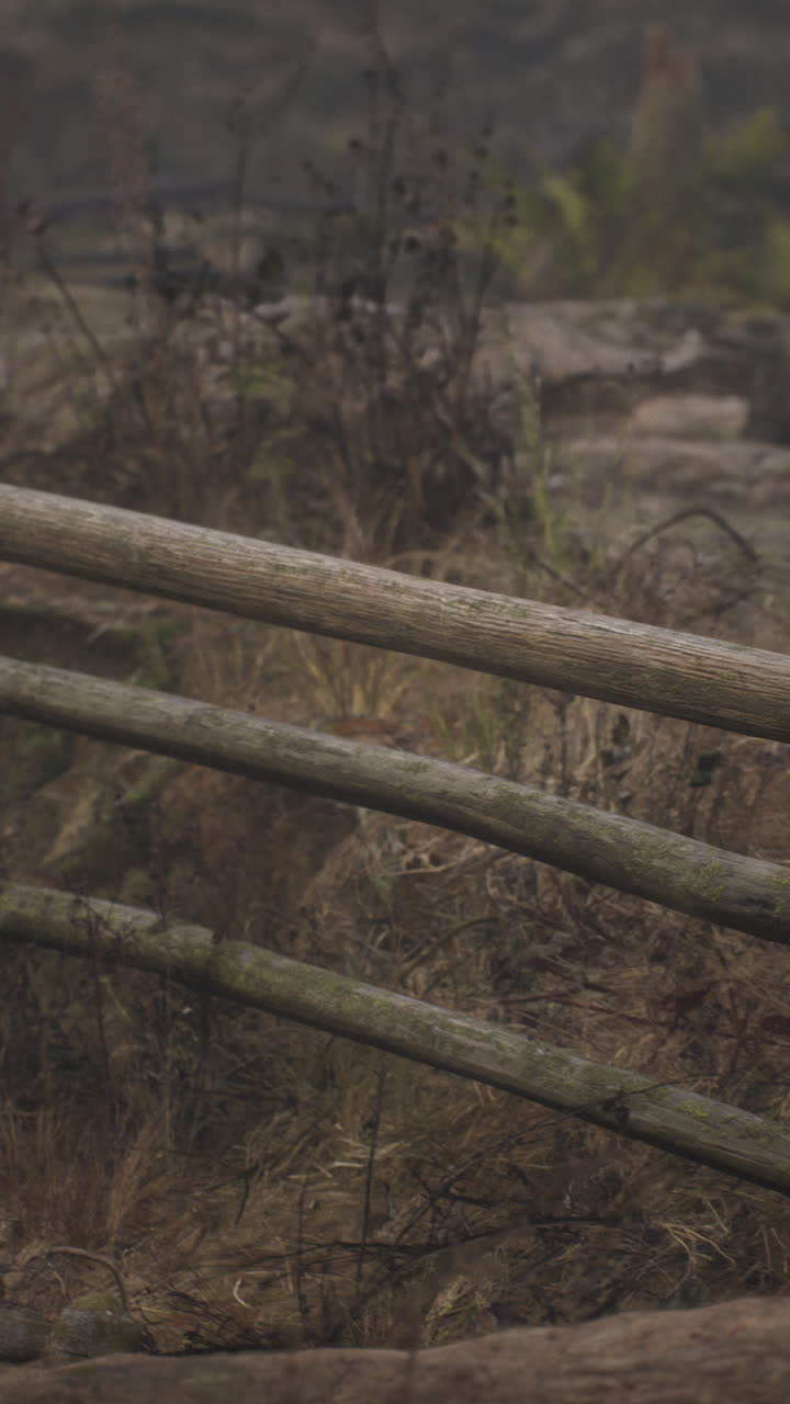 mañana brumosa en una valla de madera rústica