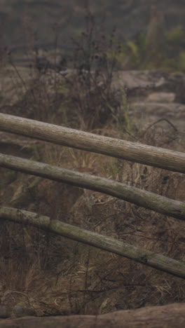 misty morning at a rustic wooden fence