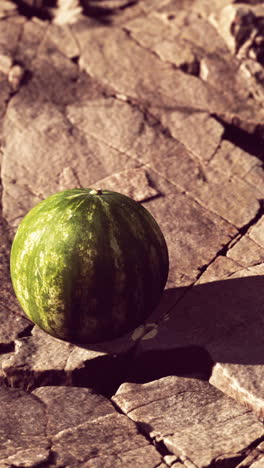 a single watermelon on a stone background