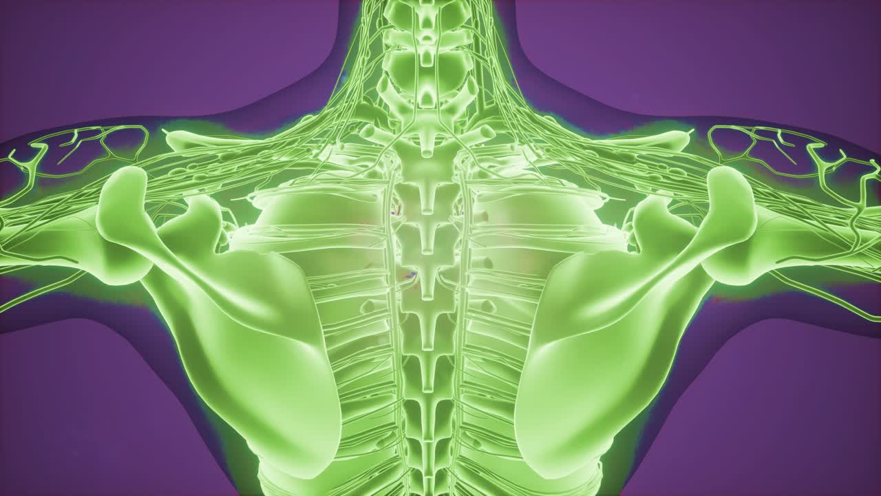 3d 자기 공명 이미지 스캔