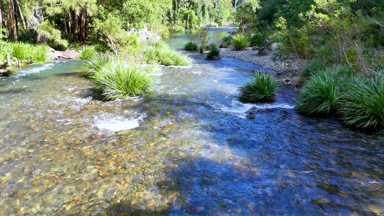 Clear creek water flows over rocks and green vegetation in bright daylight, wide-angle view