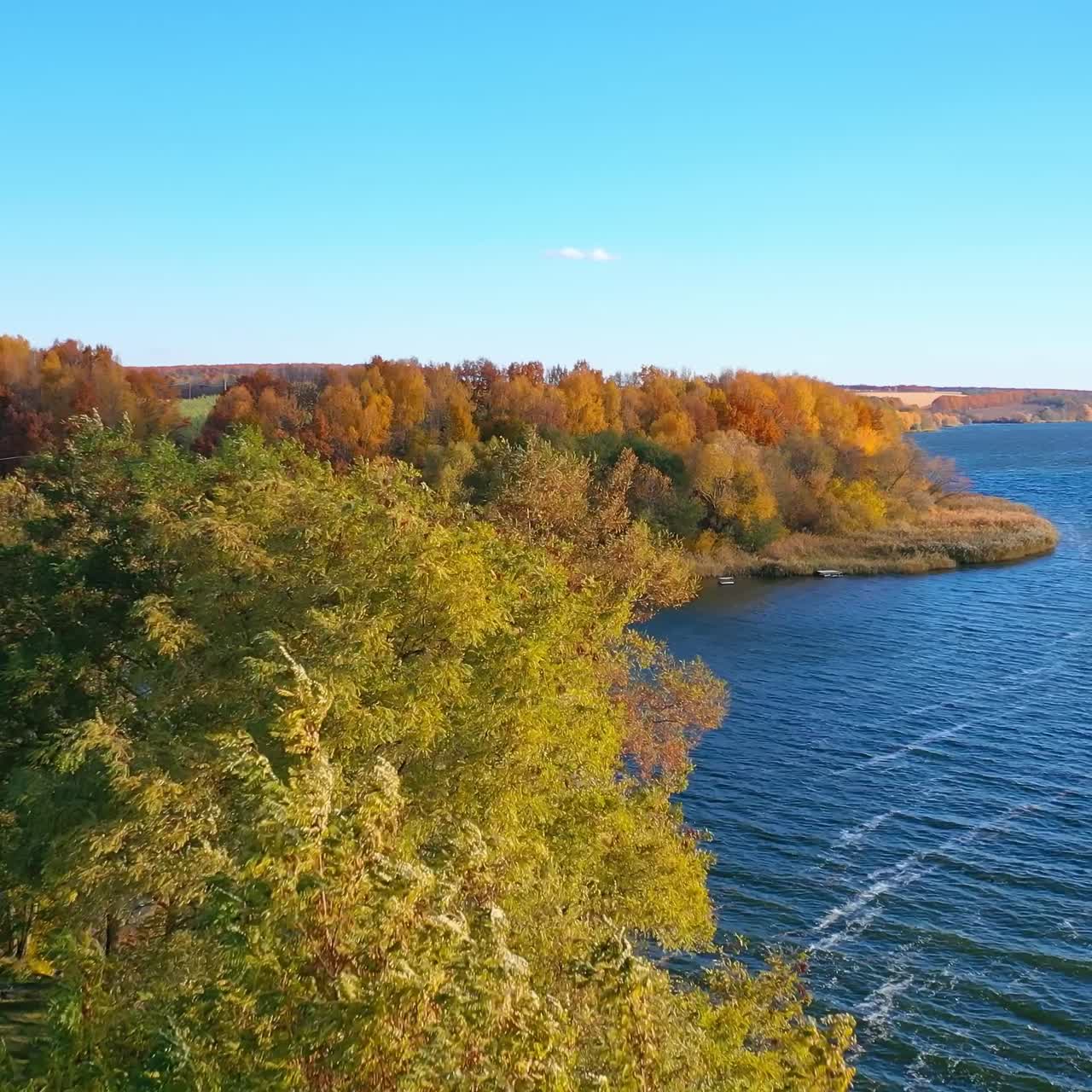 Several green tree tops among the variety of colors. Path in the woods that leads to the waterfront. Birds eye view