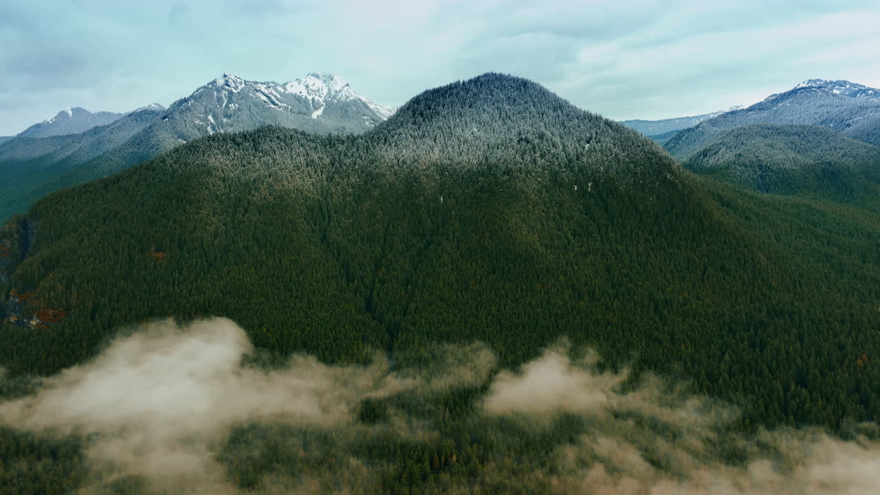 Beautiful green mountain overgrown with evergreen forests. White mist is at the foot of the mount. Aerial perspective on Mount Rainer National Park, Washington State, the USA.