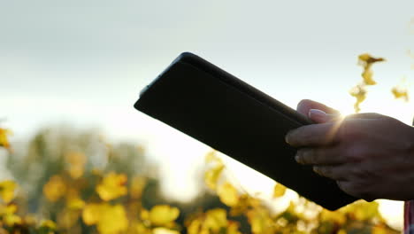 hands using tablet on a farm