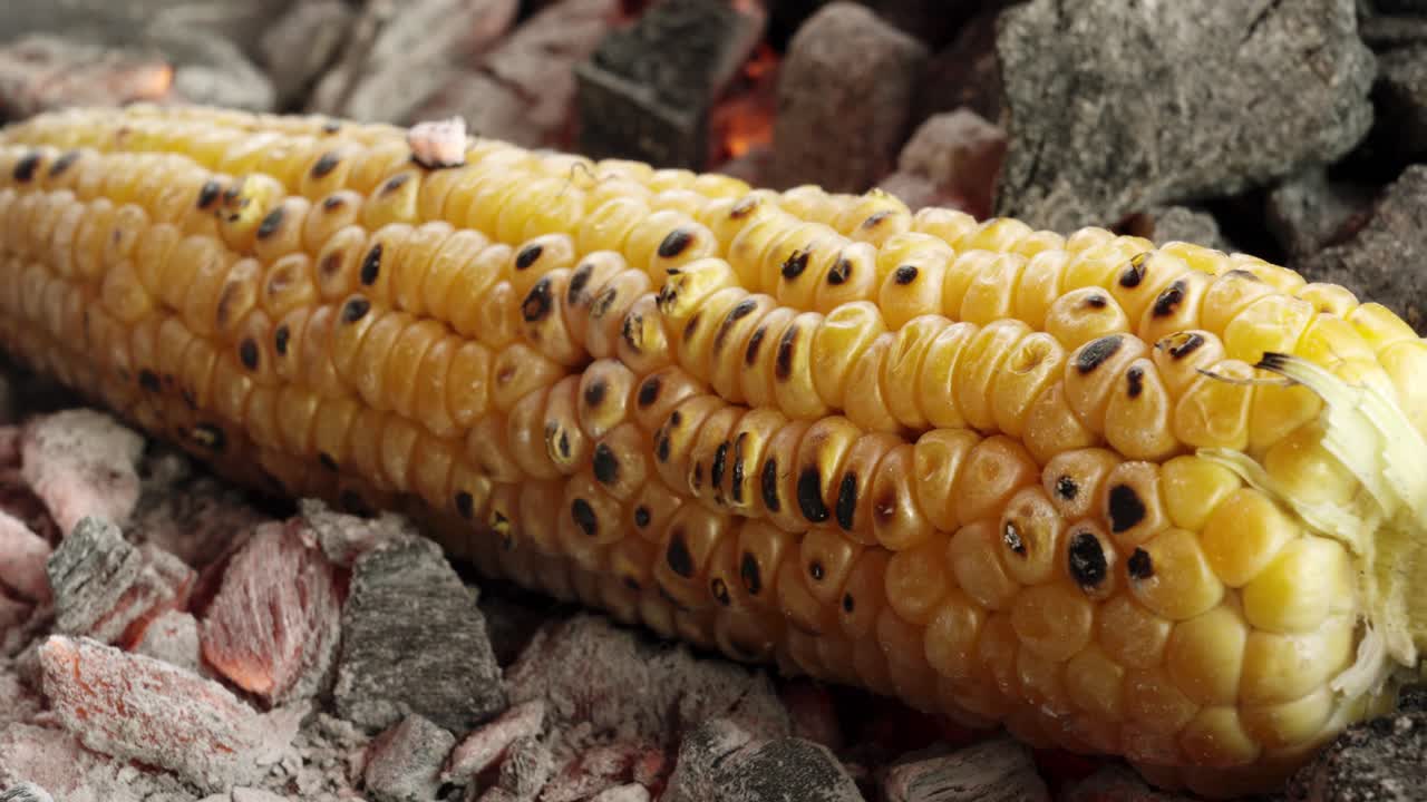 Sweet corn Grill , sweet corn cooking on charcoal, ripe corn cobs grilled sweetcorn for food vegan dinner or snack, street food in India
