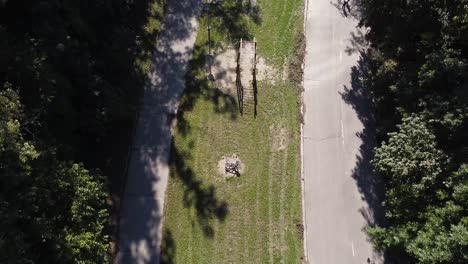 two-kids-running-to-parents-with-stroller-in-european-green-public-park-with-excercise-tools