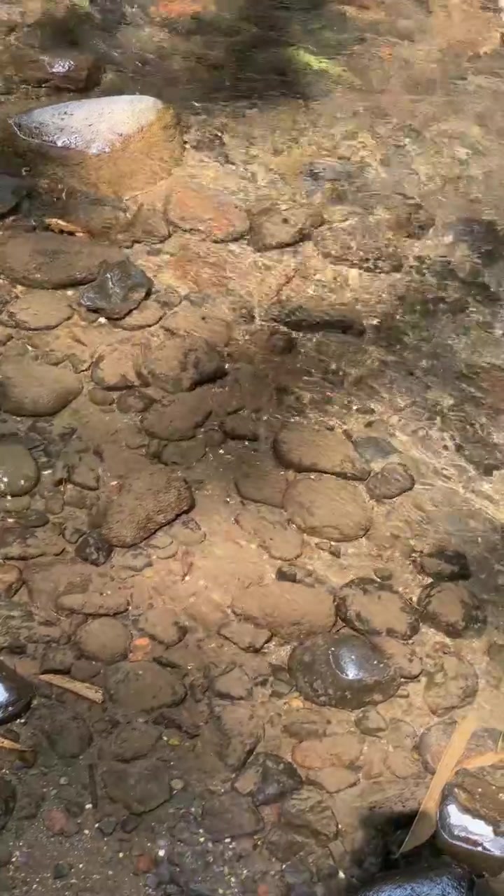 Acqua limpida che scorre sopra le rocce del letto del fiume