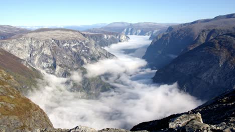 breathtaking foggy valley in the mountains