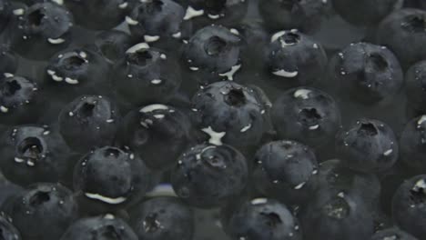 blueberries floating on surface of water with black background