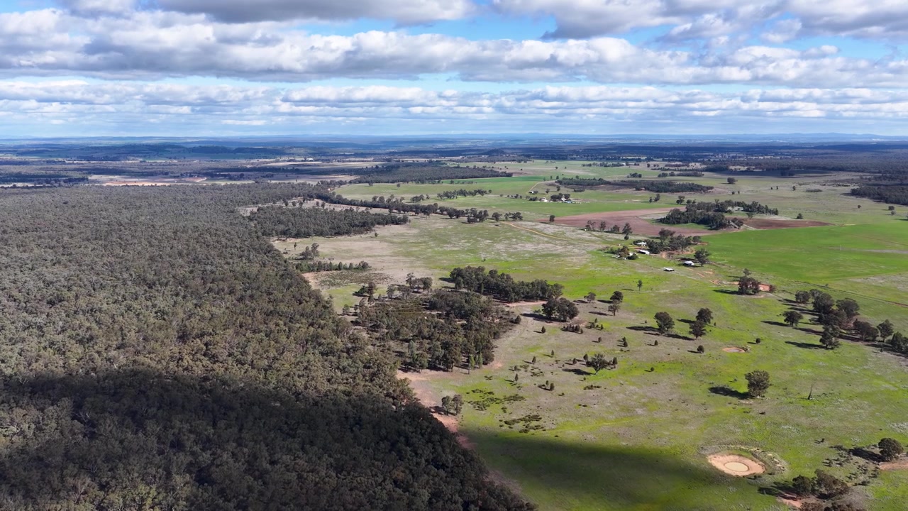 Bred droneoptagelse fra luften af grønne græsgange og oprindelig skov i landlige New South Wales