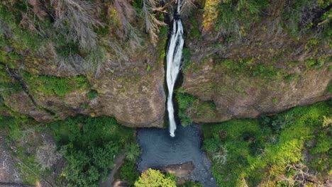 tomada aérea de un dron de las caídas de cola de caballo que caen poderosamente en cascada sobre el cañón en el desfiladero del río columbia en oregon