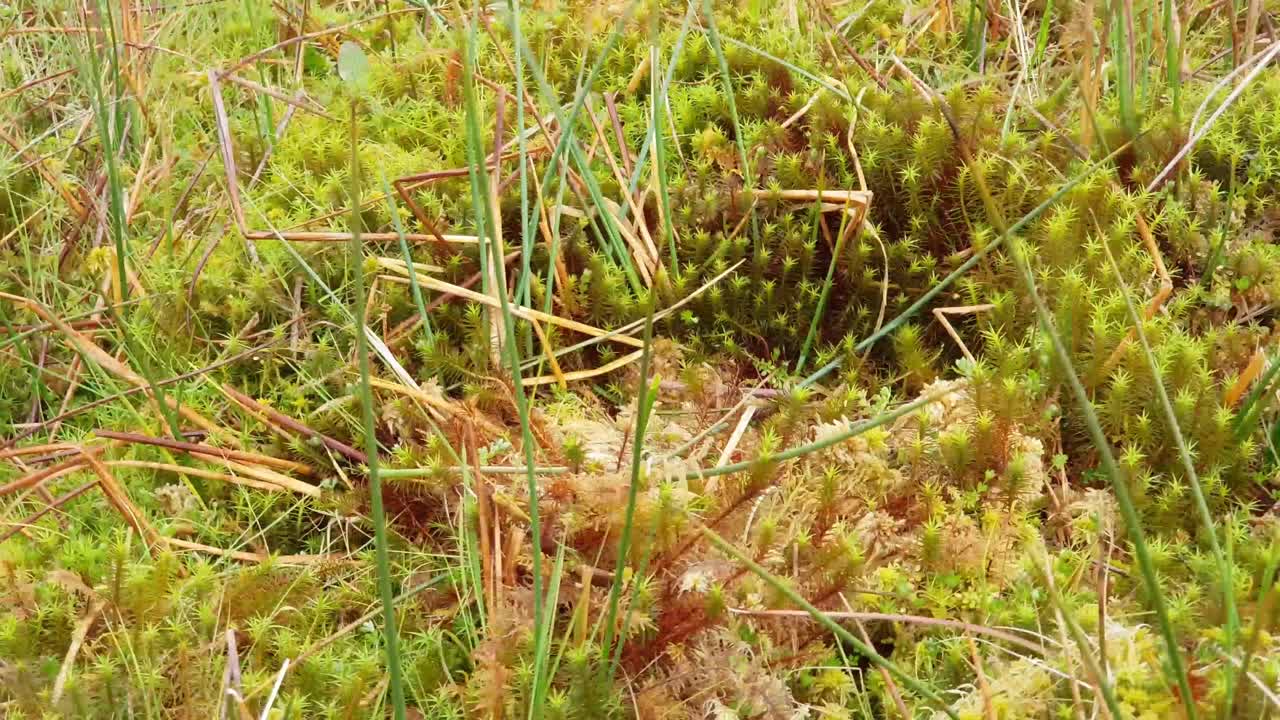 humano dejando huella en cámara lenta