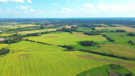 formas geométricas abstractas de parcelas agrícolas de diferentes cultivos en colores amarillo y verde