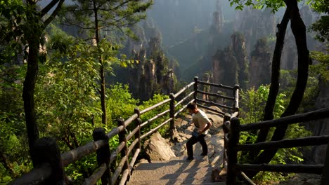 drone pilot landing uas on his hand after flight over imperial pen peak in zhangjiajie, china