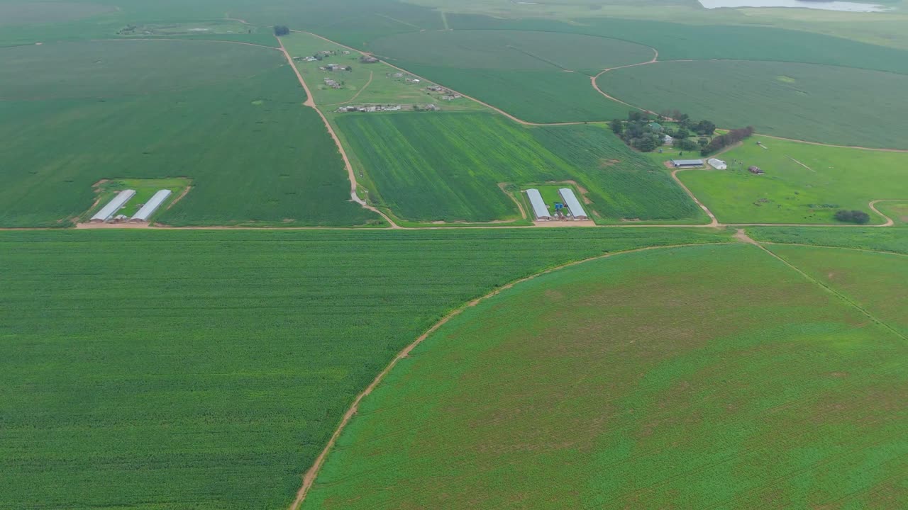 Drone flying high up capturing eye grabbing patterns in the crop fields
