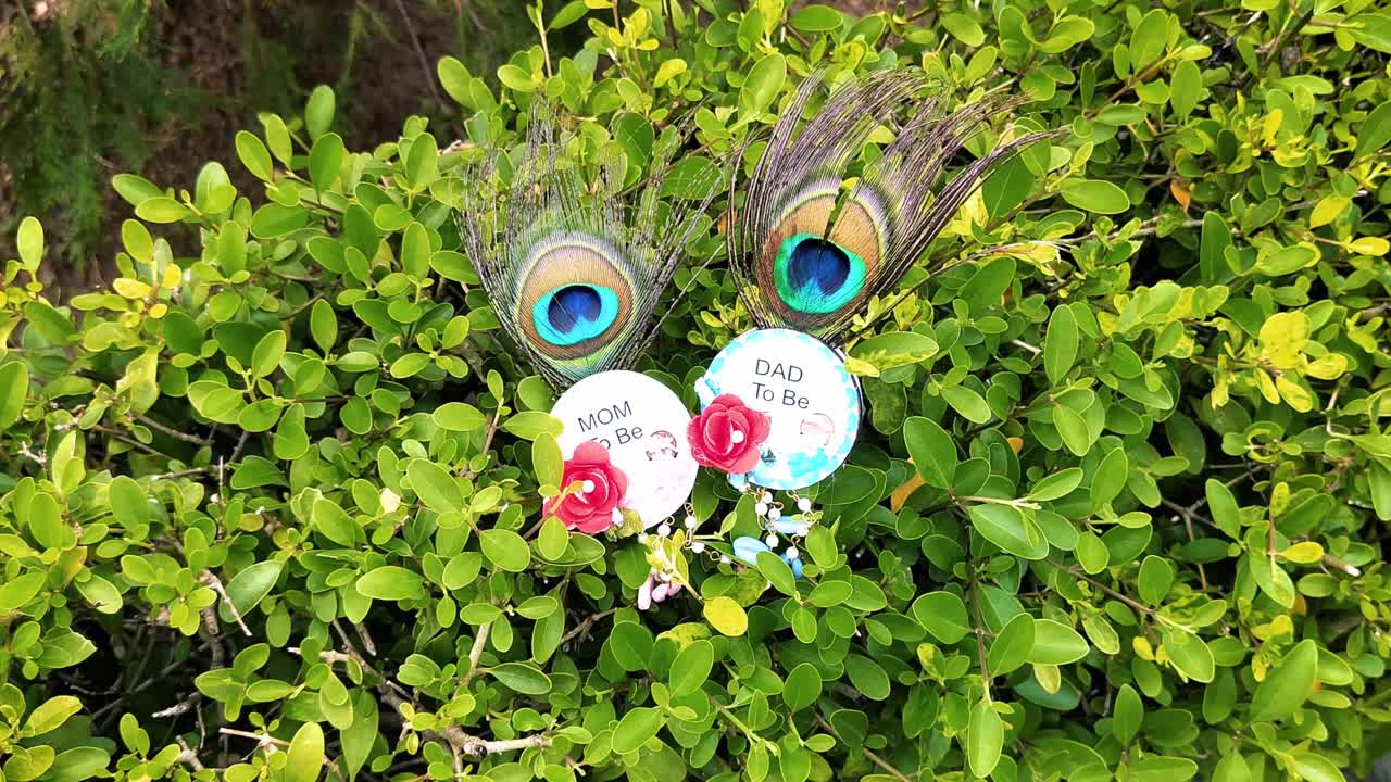 Close-up of Mom-to-Be and Dad-to-Be badges with peacock feathers on lush green foliage. Maternity shoot celebrating pregnancy and expecting parents in nature. Emphasizes love, joy and family