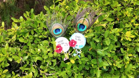 close-up of mom-to-be and dad-to-be badges with peacock feathers on lush green foliage. maternity shoot celebrating pregnancy and expecting parents in nature. emphasizes love, joy and family