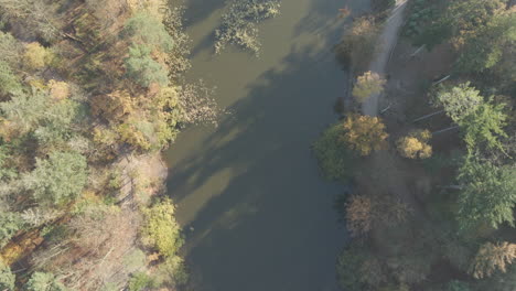 top-down-aerial-of-lake-surrounded-by-forest-in-autumn