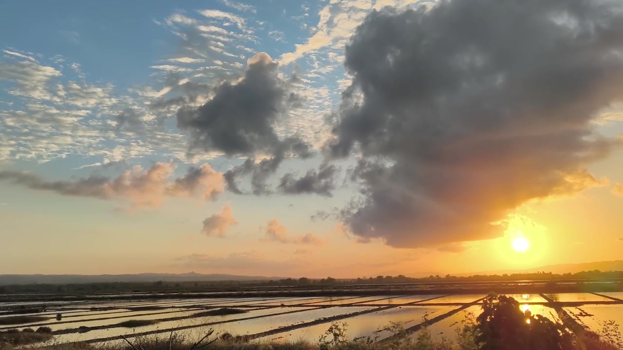 水田に映る黄金の夕焼けと飛翔する鳥