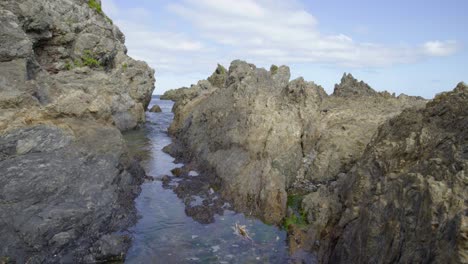 princess bay, wellington, new zealand