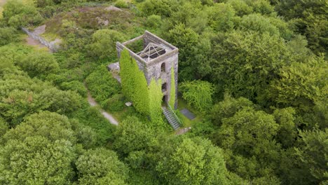 aerial view of an overgrown stone tower ruin in a forest