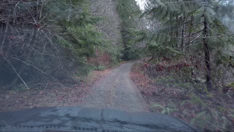 logging road up mount porter, vancouver island, canada