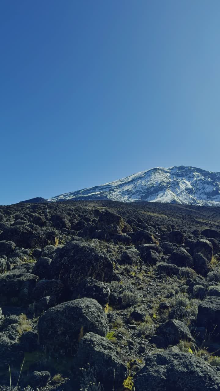 Smooth panning shot reveals a rugged volcanic plain towards the snow-capped peak of Mount Kilimanjaro under a clear blue sky