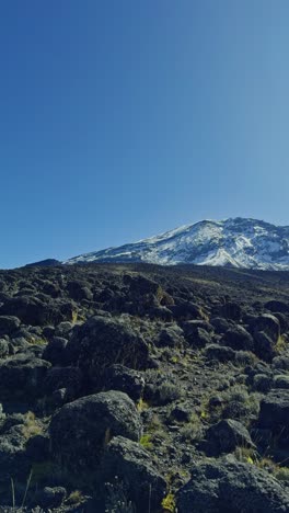 smooth panning shot reveals a rugged volcanic plain towards the snow-capped peak of mount kilimanjaro under a clear blue sky