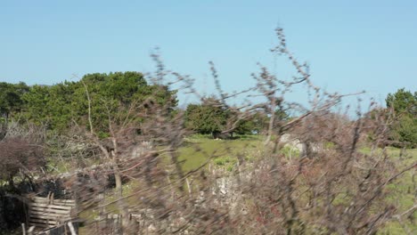 Schöne-Landschaft-Der-Insel-Cres-In-Kroatien-Bei-Sommerwetter