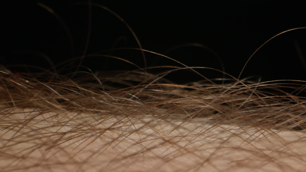 Man hand skin texture close-up, hair. Arm surface macro shooting. Body and healthcare, hygiene and medicine concept.