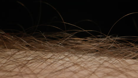 man hand skin texture close-up, hair. arm surface macro shooting. body and healthcare, hygiene and medicine concept.