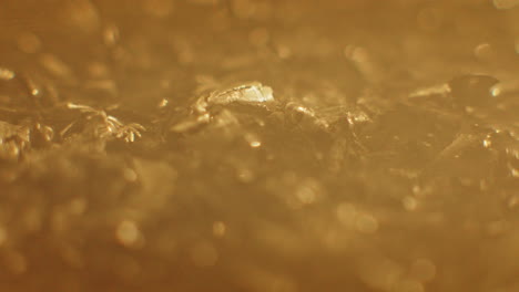golden color metallic raspings erratic movement