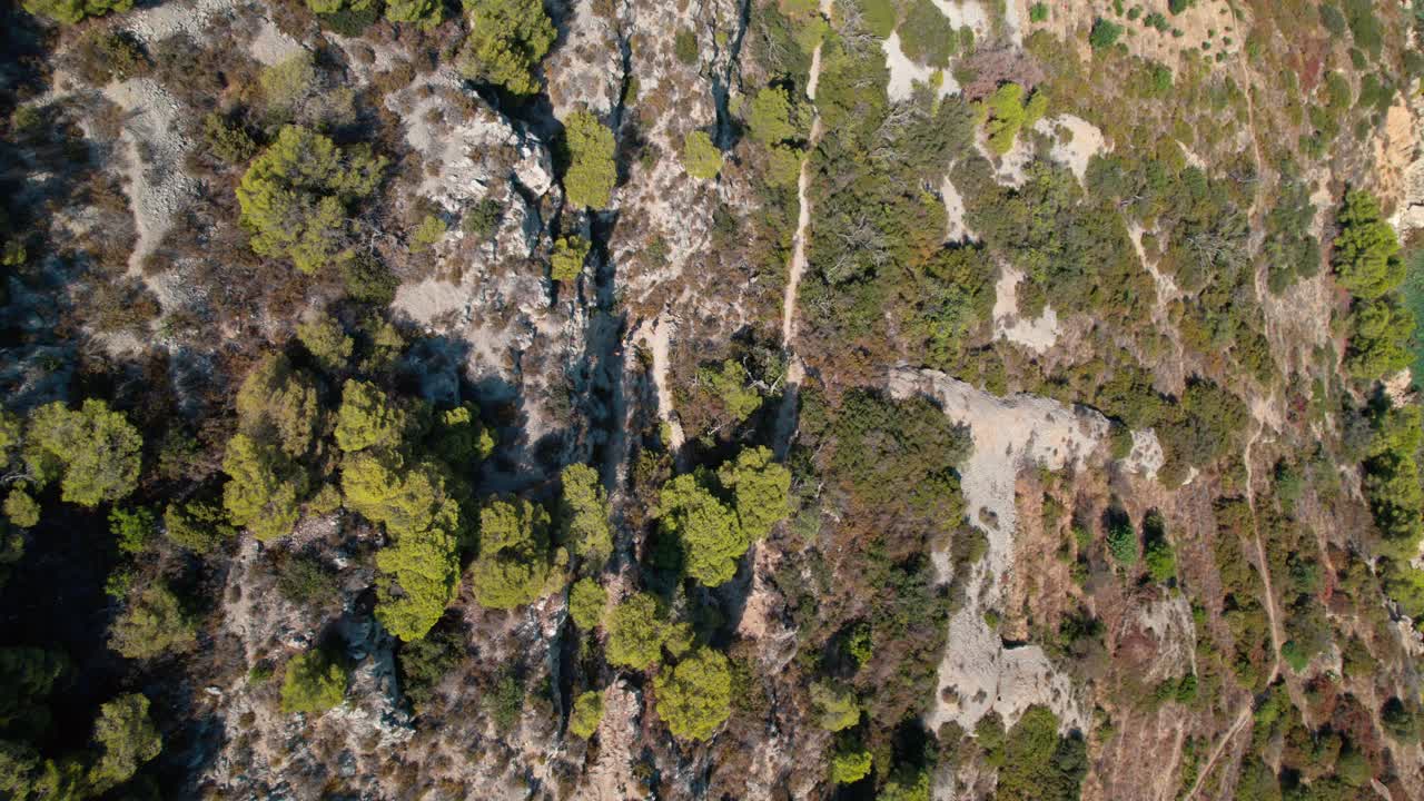 Overhead View Of Rocky Mountain With Trees In Summer. - aerial shot