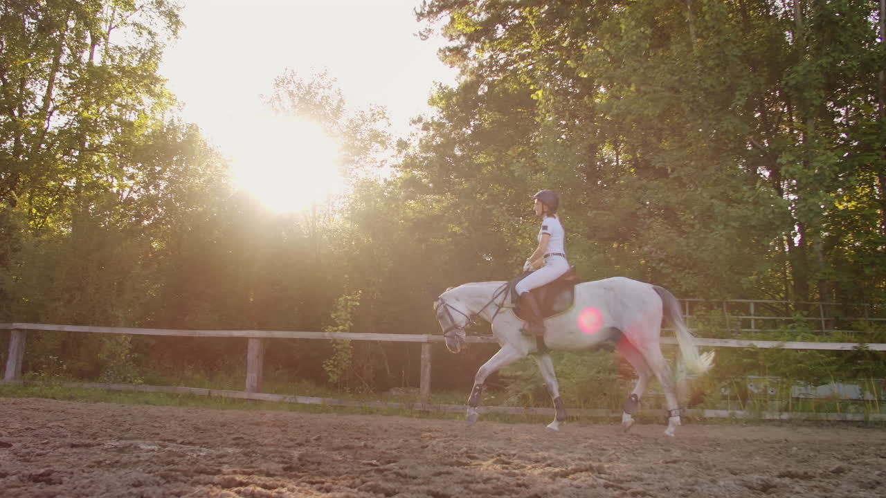 Premium stock video - This is the best moment of horse riding training ...