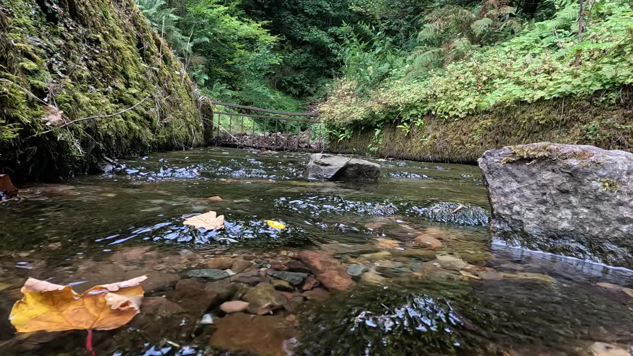 가을 잎과 모스 돌로 흐르는 하천