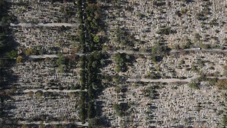 aerial islamic graves