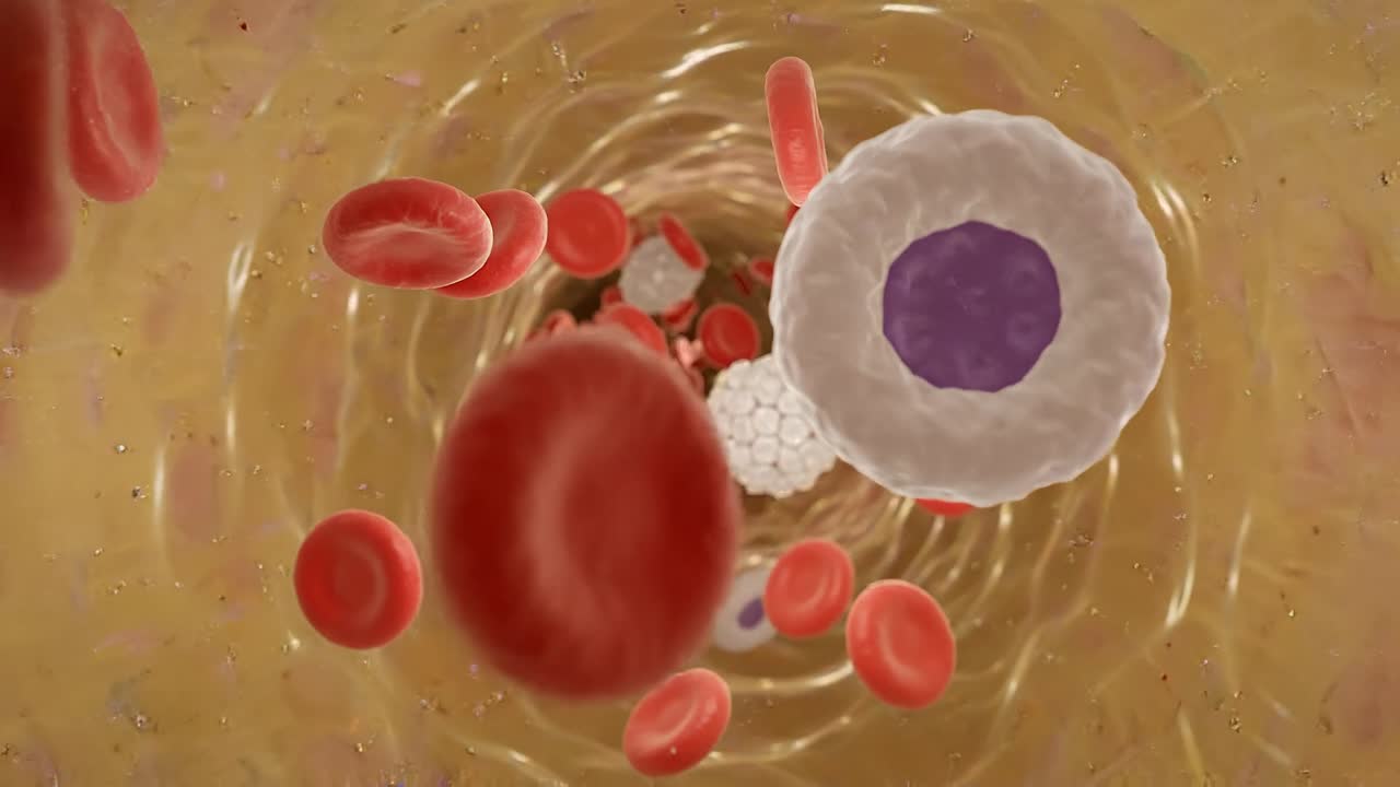 Microscopic view inside blood vessel with red blood cells and white immune cells flowing through organic tunnel environment