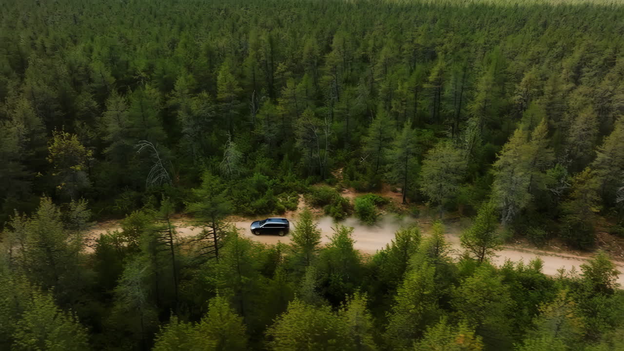Vista aerea di SUV che guida su strada sterrata attraverso una fitta foresta