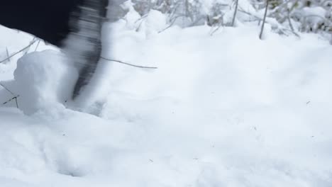 Bodennahe-Ansicht-Einer-Person,-Die-In-Winterstiefeln-Im-Wald-Mit-Dichtem-Schnee-Spaziert