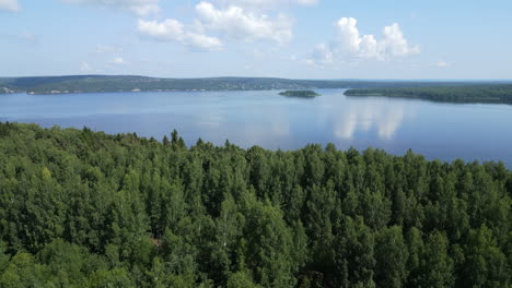 aerial view of a lake and forest