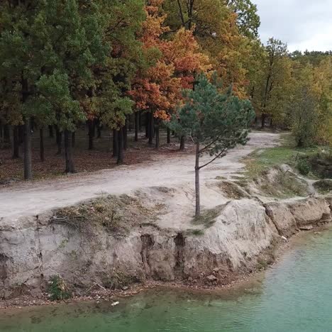 trees and lake from above