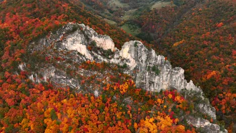 Wide-drone-shot-of-Seneca-Rocks-in-West-Virginia-during-peak-Fall-foliage