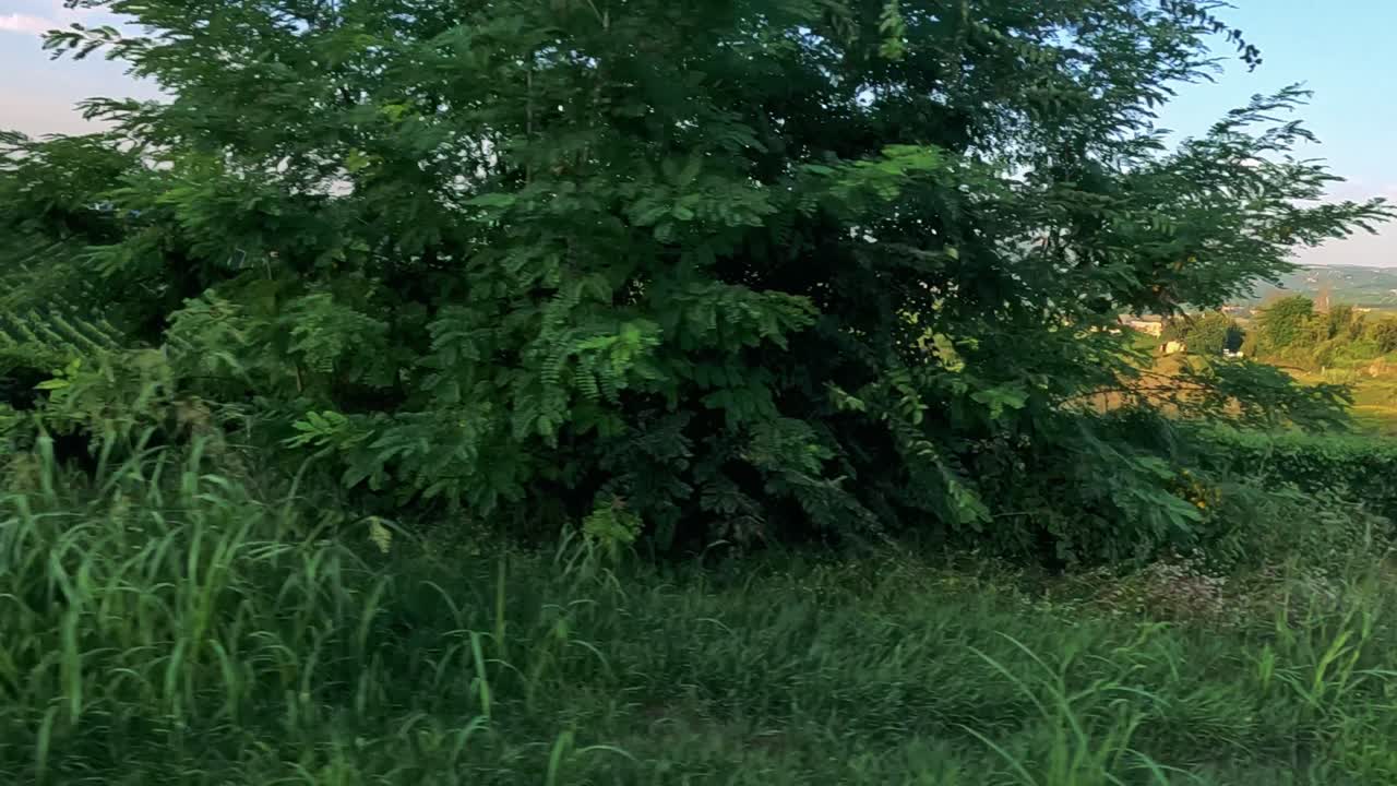 Vineyards and landscapes in Cuneo, Italy