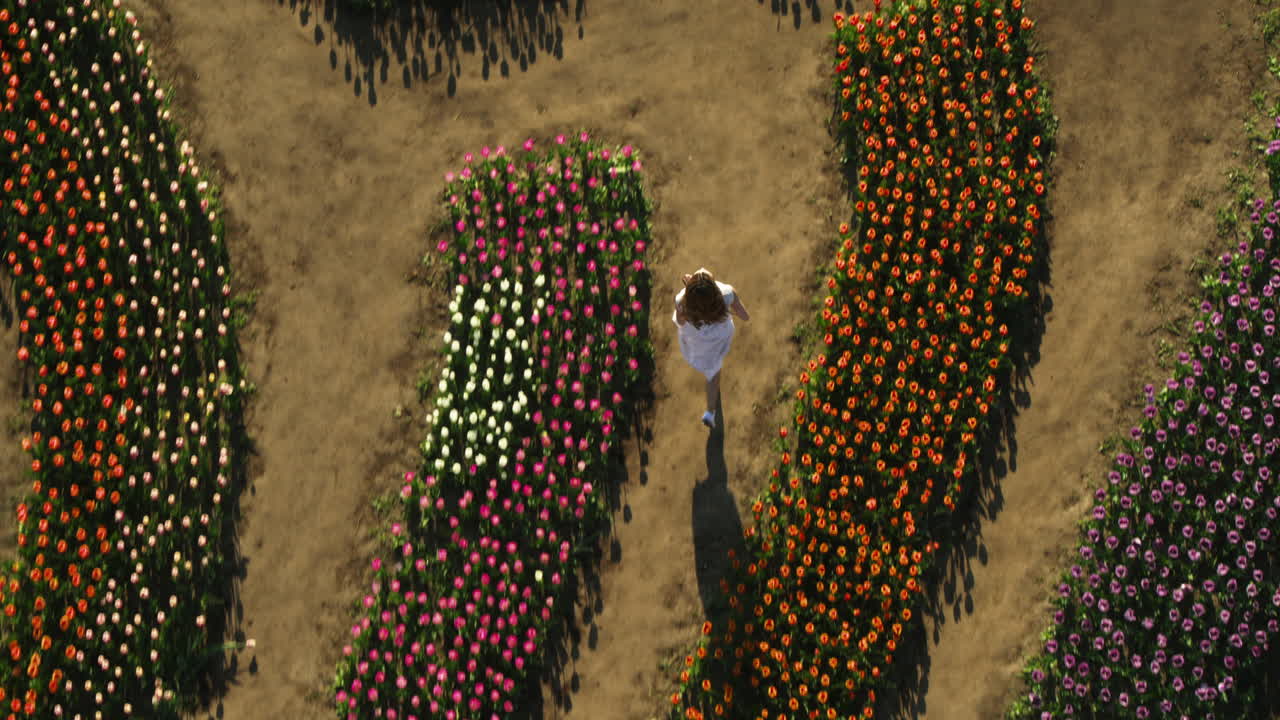 vista superior mujer joven caminando rápido por la carretera entre el campo de flores en flor durante el día.