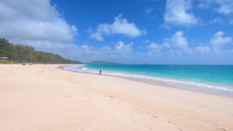 sandy beach with wonderful blue sea at hawaiian island oahu