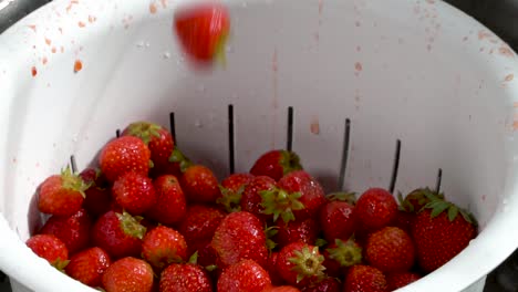 slow motion wet strawberries tumble into a white colander and bounce