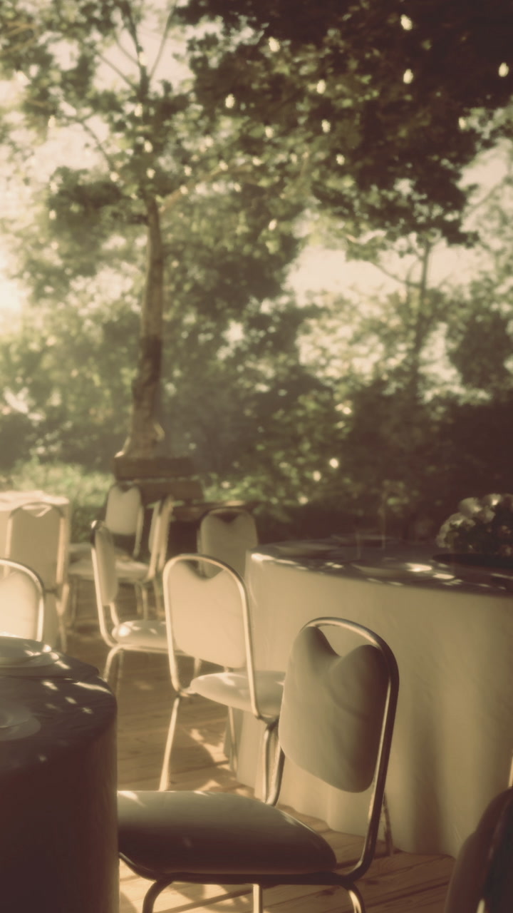 Setting a table for a gathering in a forest area during the day